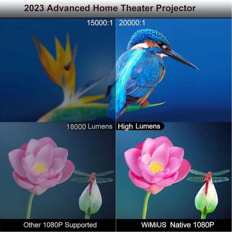 Video projector smart wimius p60